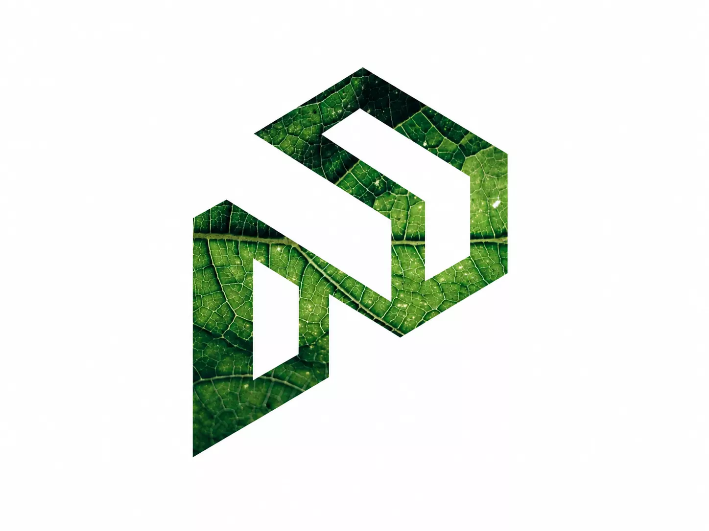 Pardos Real Estate Developer Gurgaon